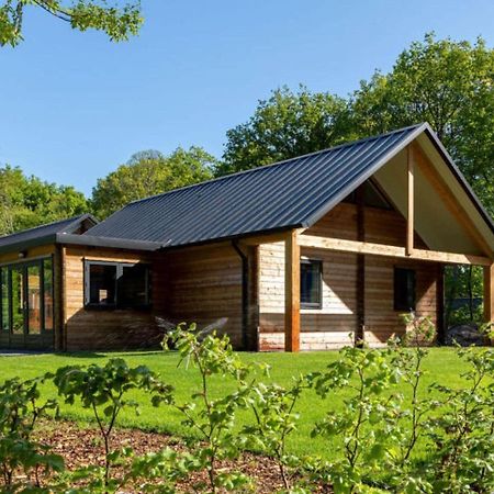 Cosy Wooden House Amid Woods In Soesterberg Utrecht Dış mekan fotoğraf