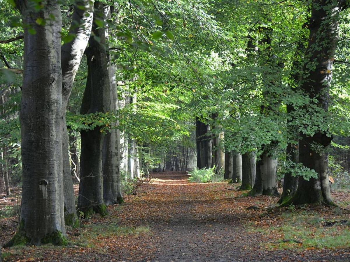 Cosy Wooden House Amid Woods In Soesterberg Utrecht Dış mekan fotoğraf